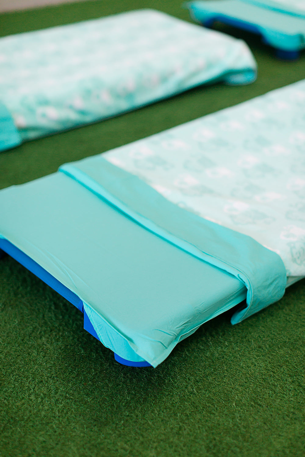 Stretcher and Mat Blanket with Print Yardage - Monkey Green