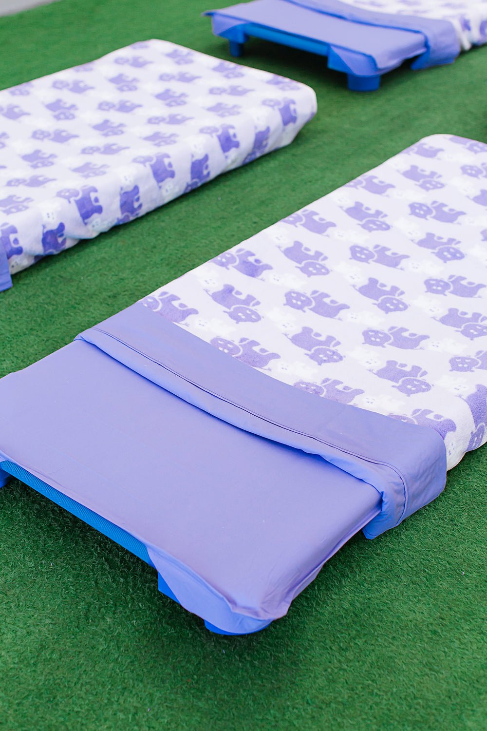 Stretcher and Mat Blanket with Print Yardage - Hippo Purple