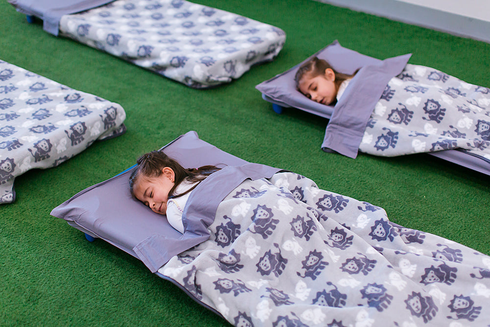 Stretcher and Mat Blanket with Print Yardage - Lion Grey