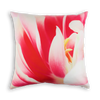 Spring Cushions - Inserts included