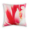Spring Theme Set with Cushions - Inserts included
