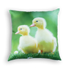 Spring Theme Set with Cushions - Inserts included
