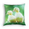 Spring Cushions - Inserts included