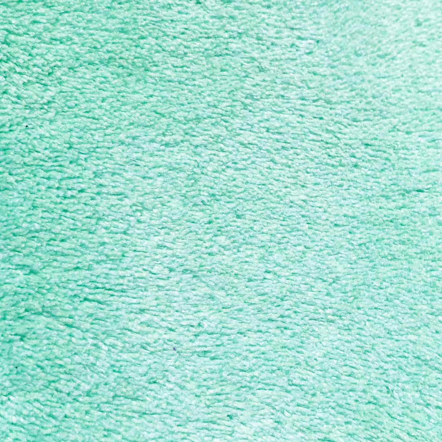 Stretcher and Mat Blanket - Solid Green